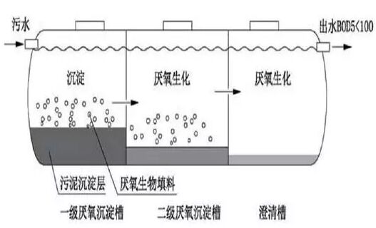 三格式化粪结构图